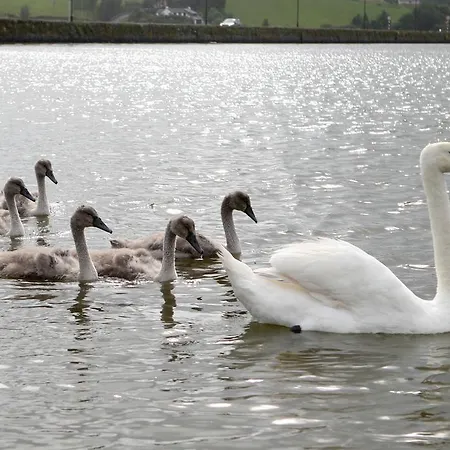 Cuan Dor ベッド・アンド・ブレックファスト ロスカーベリー