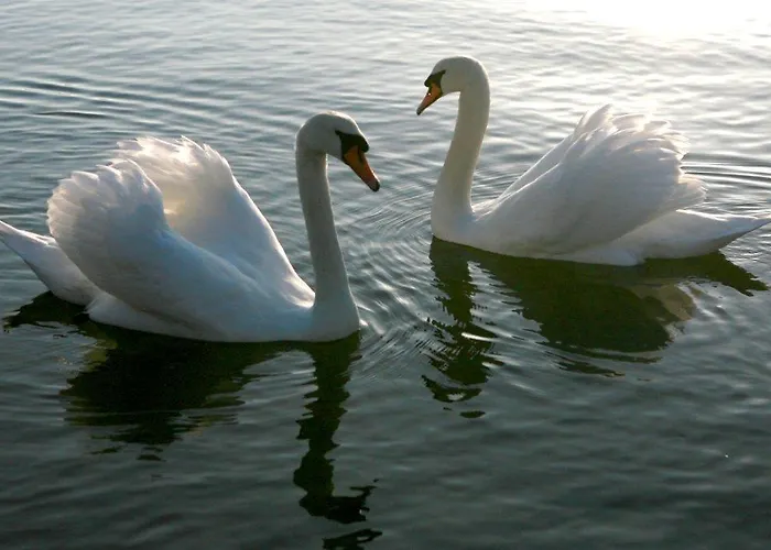 Cuan Dor Bed & Breakfast