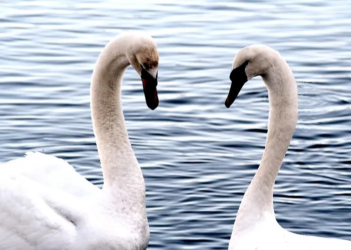 Cuan Dor Bed & Breakfast