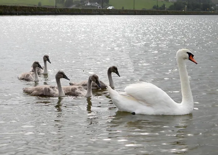 Cuan Dor Bed & Breakfast Rosscarbery